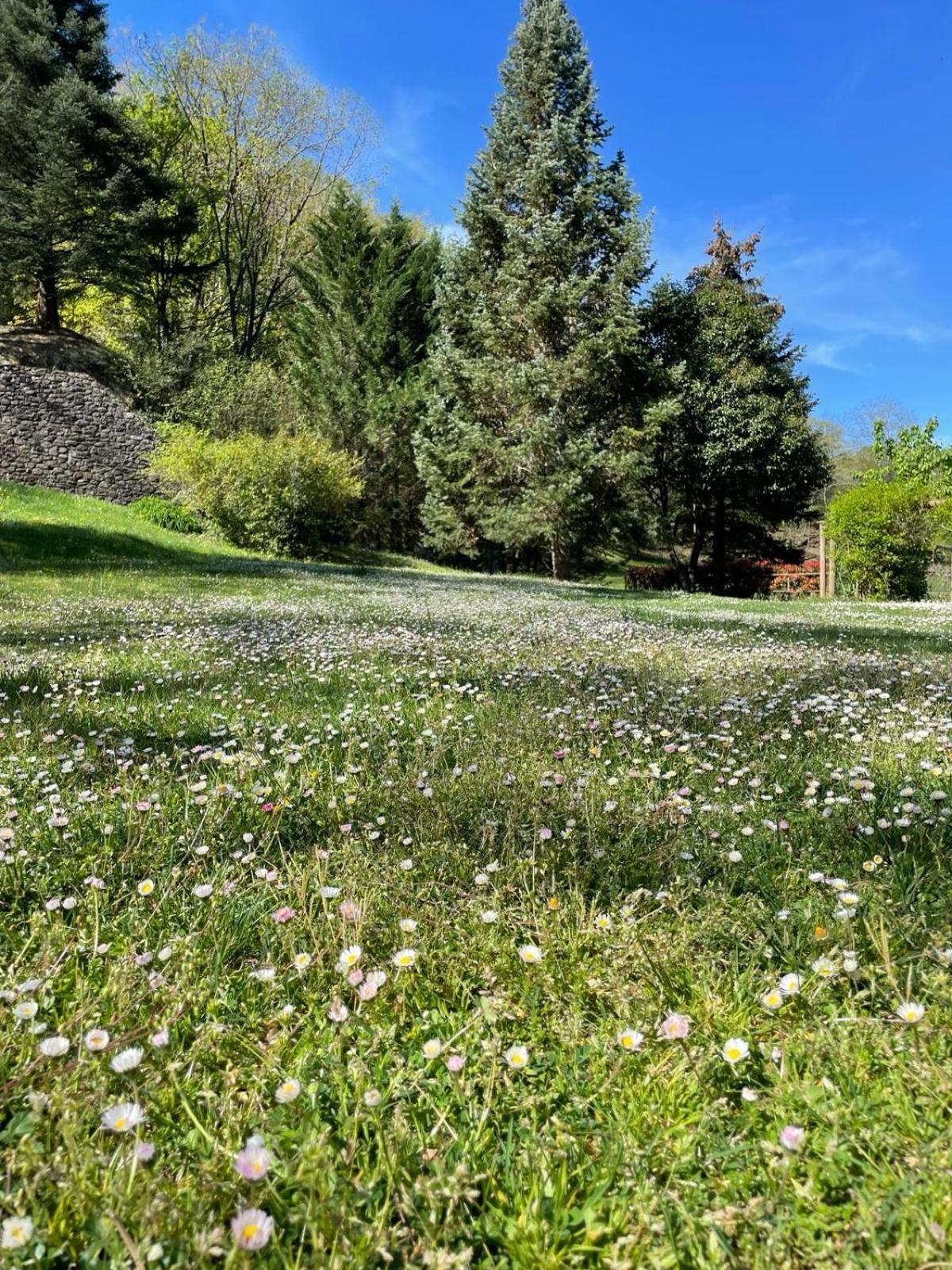 Can Torrotes La Vall de Bianya Exteriér fotografie